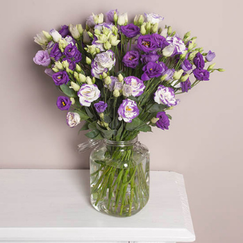 Bouquet de lisianthus parme dans un vase
