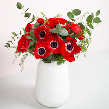 Bouquet d'anémones rouges dans un vase