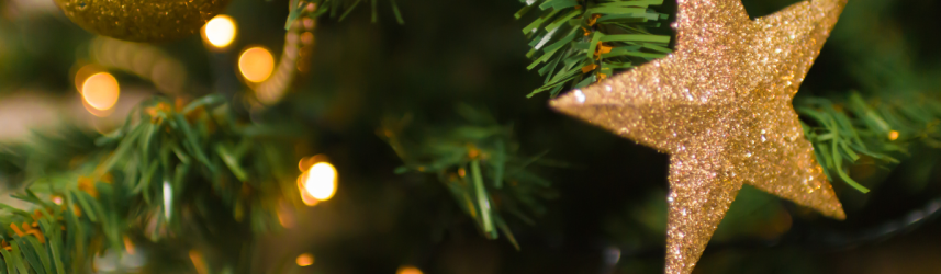 noel noel