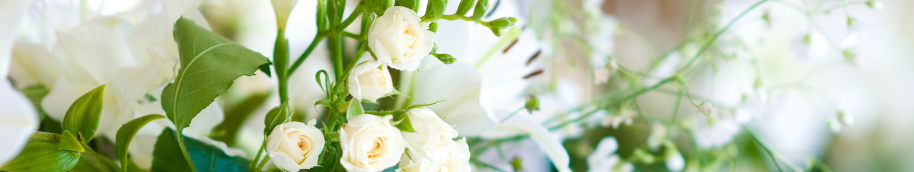 banniere-fleurs-blanches banniere-fleurs-blanches