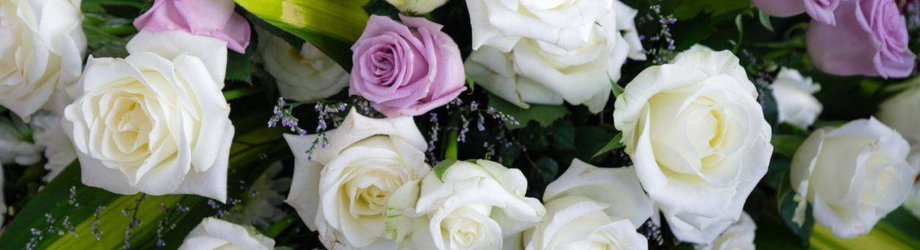 bannière de fleurs blanches et violettes bannière de fleurs blanches et violettes