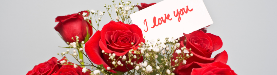 bannier-st-valentin bannier-st-valentin