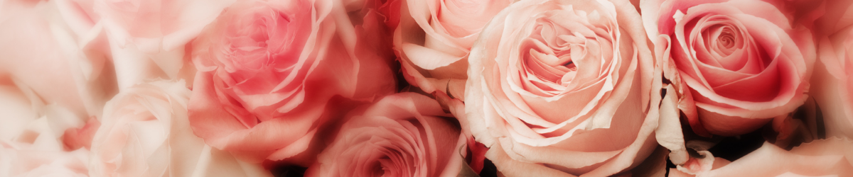 Roses Roses