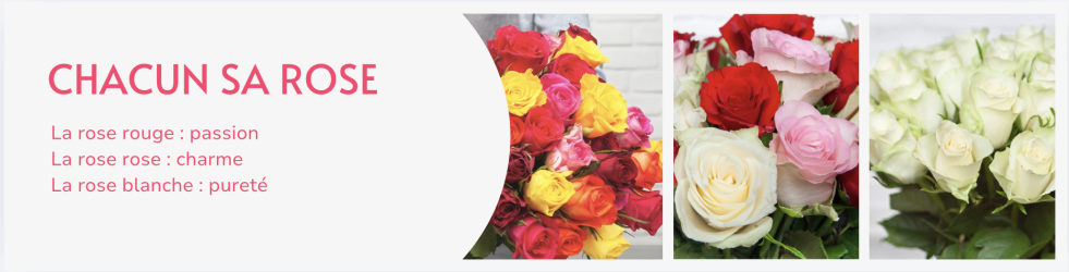 roses-new roses-new