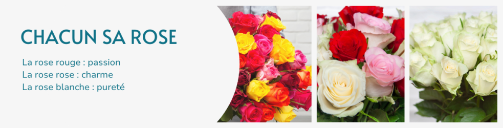 roses-new