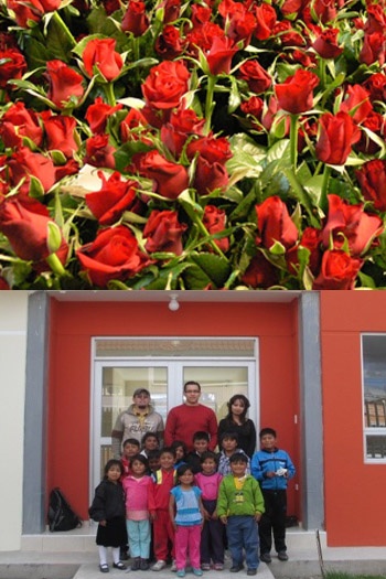agrogana-fleur23
