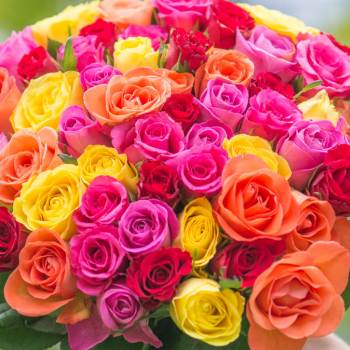 bouquet de roses multicolores roses multicolores