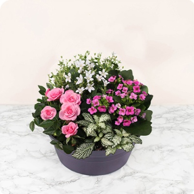 composition-fleurs-de-coeur composition-fleurs-de-coeur