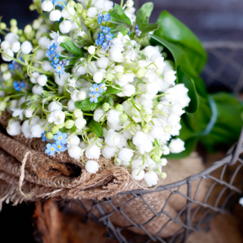 deco_muguet2 deco_muguet2