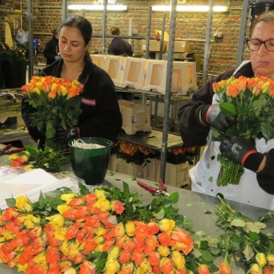 F&ecirc;te des M&egrave;res : dans les coulisses du grand rush chez Aquarelle