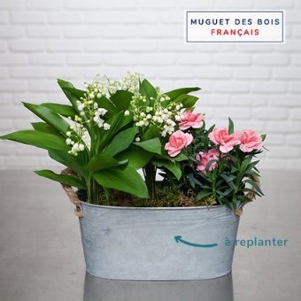DÉCOUVREZ LA JARDINIÈRE MUGUETS ET ŒILLETS DÉCOUVREZ LA JARDINIÈRE MUGUETS ET ŒILLETS