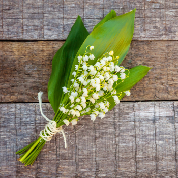 deco_muguet1 deco_muguet1