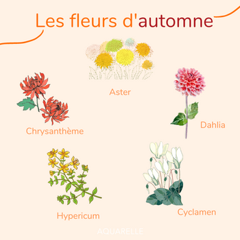 automne automne