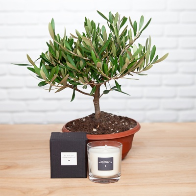 olivier-bougie-190g olivier-bougie-190g