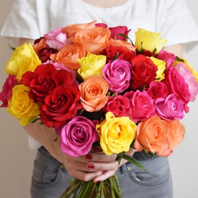 arlequin-600x600 arlequin-600x600