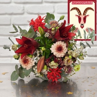 BOUQUET CAPRICORNE BOUQUET CAPRICORNE