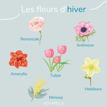 hiver hiver