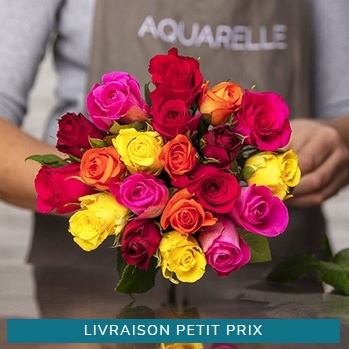 LES 20 ROSES ARLEQUIN LES 20 ROSES ARLEQUIN