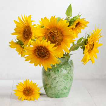 bouquet tournesol bouquet tournesol