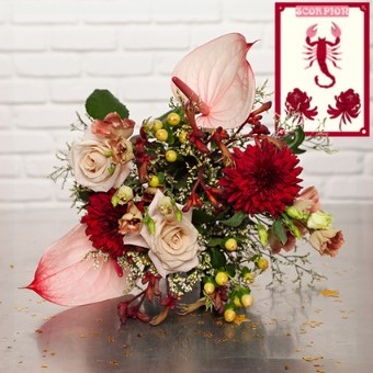 DÉCOUVREZ LE BOUQUET SCORPION DÉCOUVREZ LE BOUQUET SCORPION