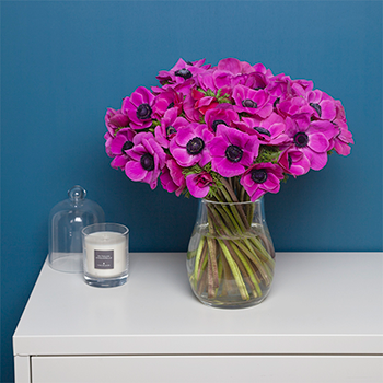 bouquet d'anémones rose foncé dans un vase en verre bouquet d'anémones rose foncé