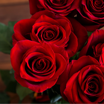 roses_rouges2 roses_rouges2