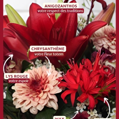 capricorne  capricorne