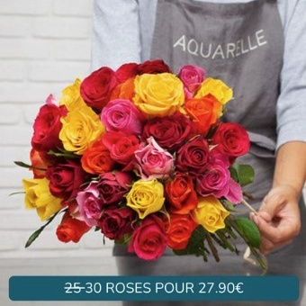 BOUQUET ARLEQUIN BOUQUET ARLEQUIN