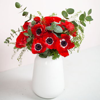bouquet d'anémones rouges dans un vase blanc bouquet d'anémones rouges