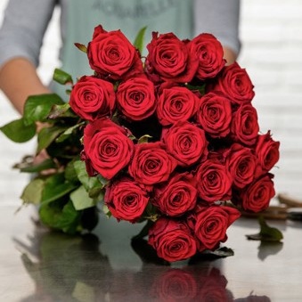 grandes roses rouges grandes roses rouges