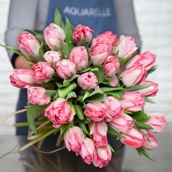 bouquet de 30 tulipes roses bouquet de tulipes roses