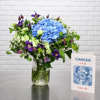 bouquet cancer bouquet cancer