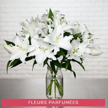 BOUQUET DE LYS BLANCS PARFUMÉS